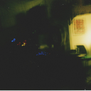 alocasiagarden avatar