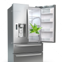 aloes-in-the-fridge avatar