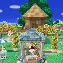 alohacrossing avatar