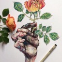 aloneandhollow avatar