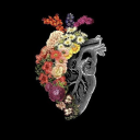 alonebtchsblog avatar