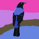 alonglistofbirds avatar