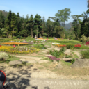 alonsoprimavera avatar