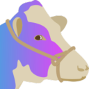 alostcuttlefish avatar