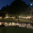 alpacaqueenie avatar