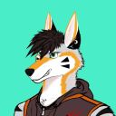 alpha-wolfs-stuff-blog avatar