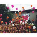 alphagammadeltawsu avatar