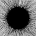 alphakilozulu avatar