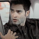 alphasourwolf avatar