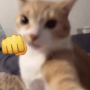 alquimistinha avatar