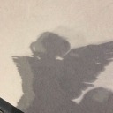 alr3ady-in-h3aven avatar