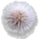 alreadyfallingclose avatar