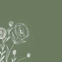 alrightgreeen avatar