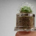 alrightthenillgotohell avatar