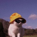 alrighty-kitty avatar