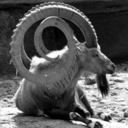 alrightythen73 avatar