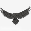 alsaqer64 avatar