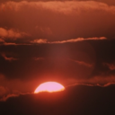 alsoyeahroses avatar