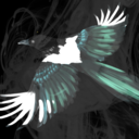 altartidingarchive avatar