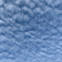 altered-realityy avatar