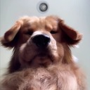 alternateinterlude avatar