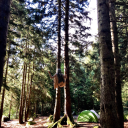 altmisbirinciblog avatar