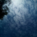 altocumulus13 avatar