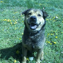 always-a-choice avatar