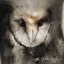 always-a-higher-rock avatar