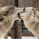 always-been-youandme avatar