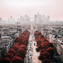 always-had-high-hopes-blog avatar