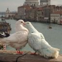 always-intheclouds avatar