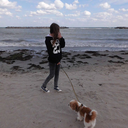 always-say-wrong-things avatar