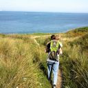 always-tired-and-hungry avatar