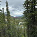 alwaysananxiousmess avatar