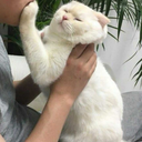 alwaysawinner avatar