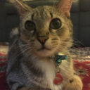 alwaysbored5ever avatar