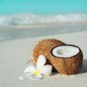 alwaysdreamingofthebeach avatar