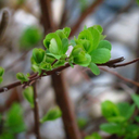 alwaysfightforwhatyouwant avatar