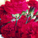 alwaysgotoparis avatar