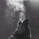 alwaysin-my-heart avatar