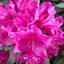 alwayskeepmeclose avatar