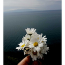 alwaysremembergodd avatar