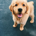 alwayssclassyyy avatar