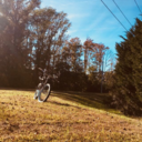 alwaysscreechingmoon avatar