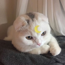 alwayssdreamer avatar