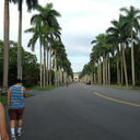 alwaystheoddoneout avatar