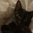 alwaysthesameplace avatar