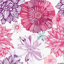 alwaystrictkatelyn avatar