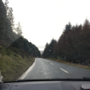 alwayswiththewahwahpeddle avatar